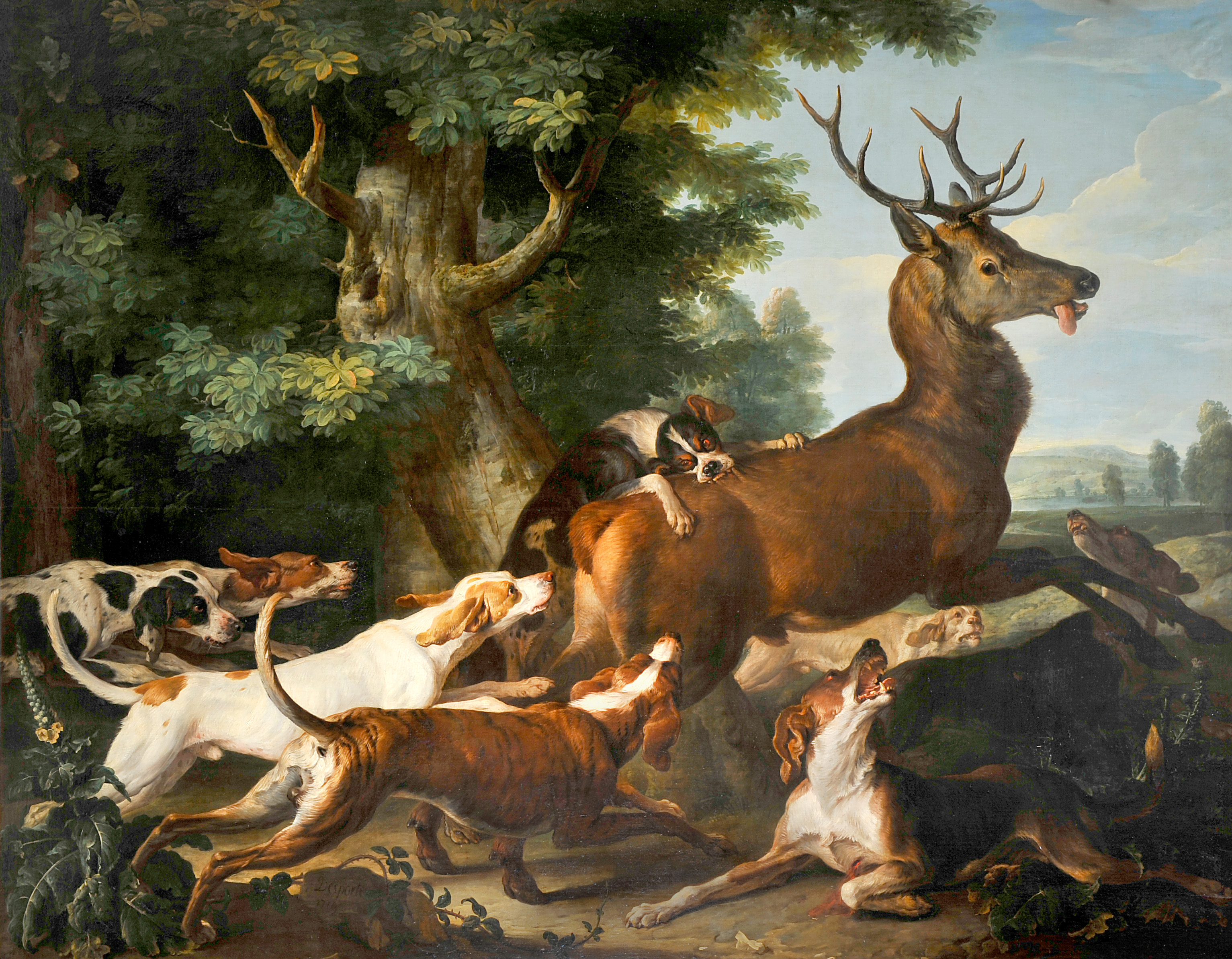 Débuché de cerf, François Desportes, 1719