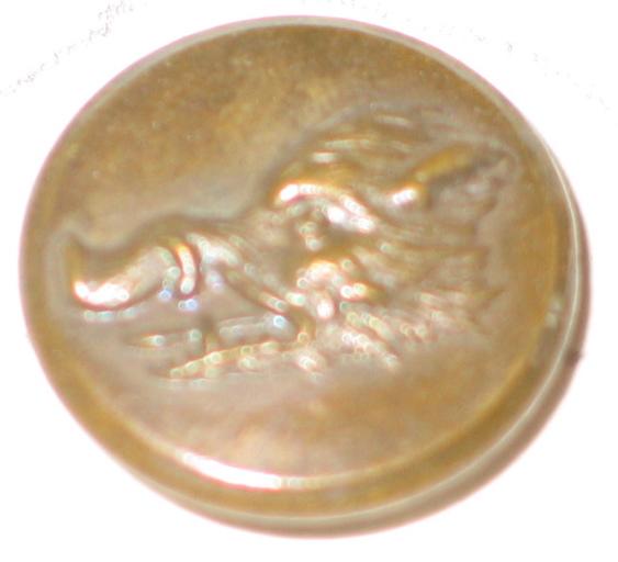 Equipage non-identifié_0