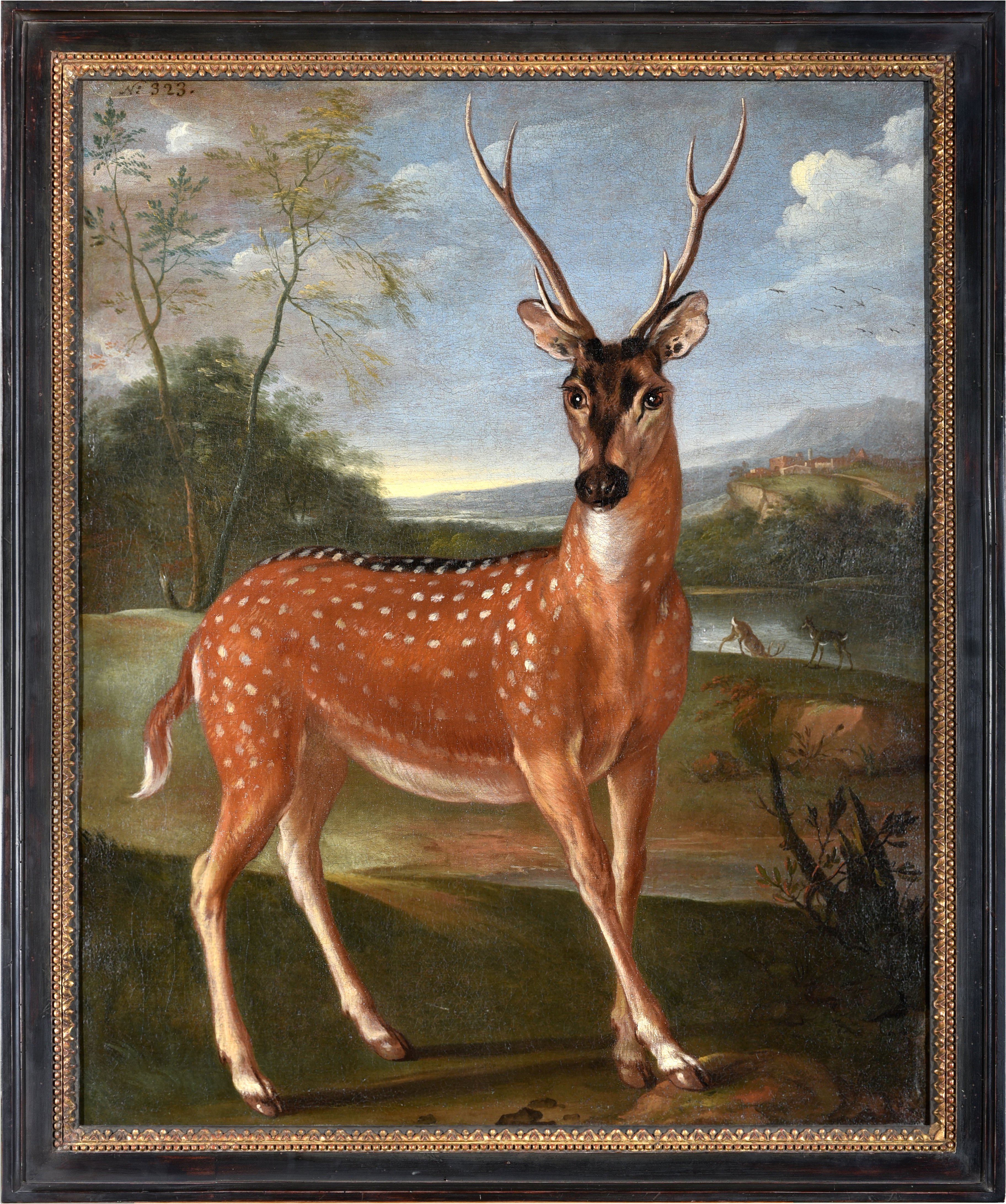 Cerf du Gange, Nicasius Bernaerts, 1670 vers