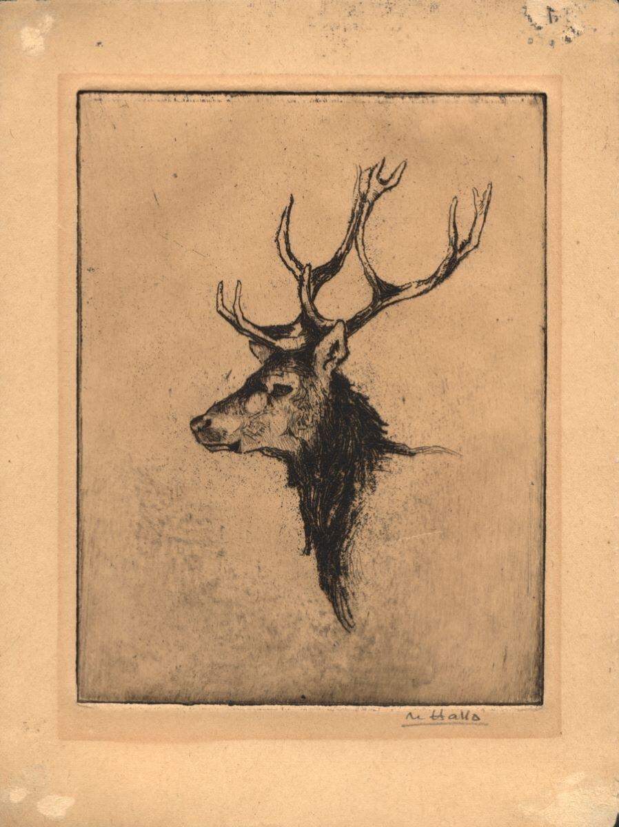Tête de cerf dix cors, Charles-Jean Hallo