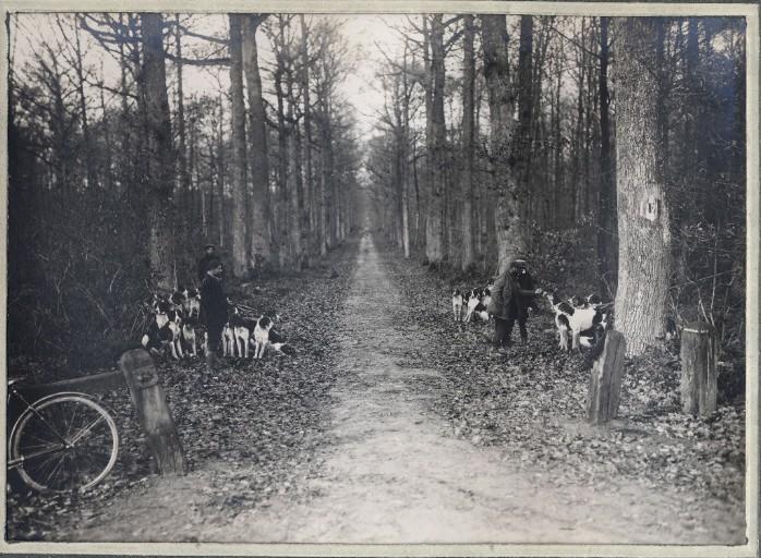 Photographie d'un album en maroquin vert comprenant 24 photographies : Equipage Par Monts et Vallons, le découplé en forêt, Georges Royer, 1920 avant