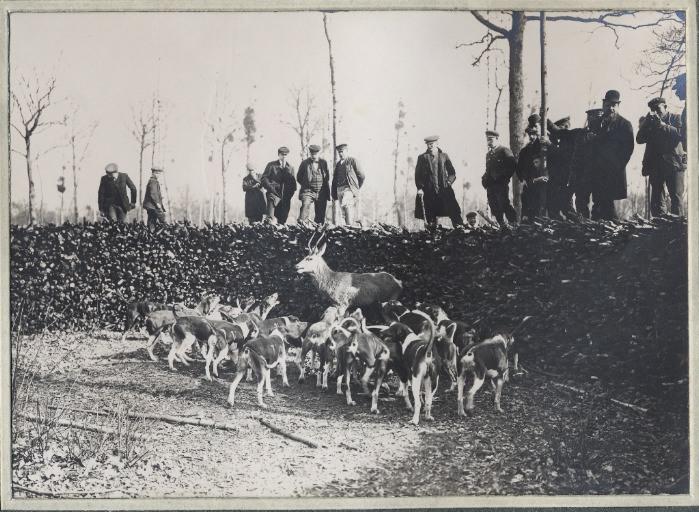 Photographie d'un album en maroquin vert comprenant 24 photographies : Equipage Par Monts et Vallons, hallali en forêt d'Halatte, Georges Royer, 1920 avant