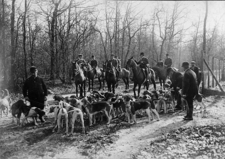 Photographie extraite d'un album de 56 photographies : équipages Chantilly et Par Monts et Vallons en forêt_0