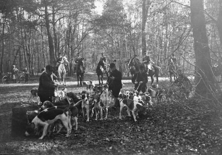 Photographie extraite d'un album de 56 photographies : équipages Chantilly et Par Monts et Vallons en forêt, Eugène de Rozycki, 4e quart 19e siècle, 1er quart 20e siècle