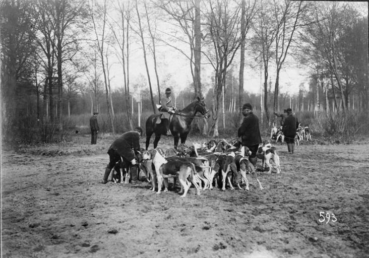 Photographie extraite d'un album de 56 photographies : équipages Chantilly et Par Monts et Vallons en forêt, Eugène de Rozycki, 4e quart 19e siècle, 1er quart 20e siècle
