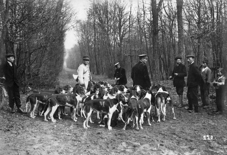 Photographie extraite d'un album de 56 photographies : équipages Chantilly et Par Monts et Vallons en forêt, Eugène de Rozycki, 4e quart 19e siècle, 1er quart 20e siècle