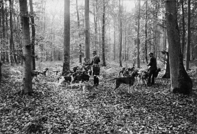 Photographie extraite d'un album de 56 photographies : équipages Chantilly et Par Monts et Vallons en forêt, Eugène de Rozycki, 4e quart 19e siècle, 1er quart 20e siècle