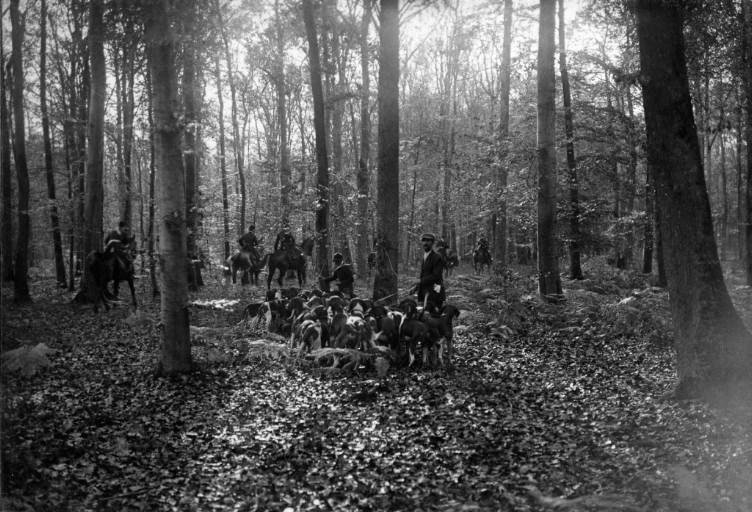 Photographie extraite d'un album de 56 photographies : équipages Chantilly et Par Monts et Vallons en forêt, Eugène de Rozycki, 4e quart 19e siècle, 1er quart 20e siècle