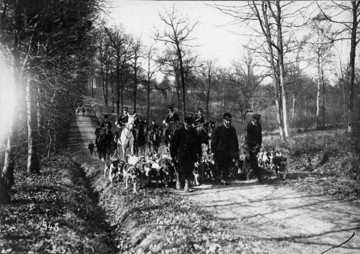 Photographie extraite d'un album de 56 photographies : équipages Chantilly et Par Monts et Vallons, Eugène de Rozycki, 4e quart 19e siècle, 1er quart 20e siècle