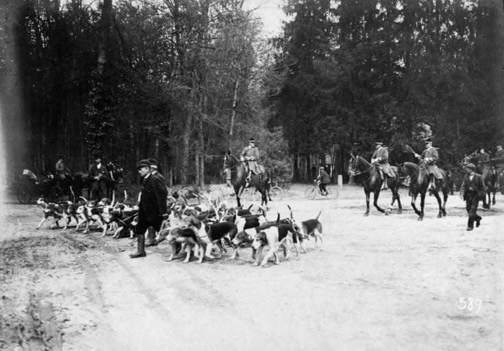 Photographie extraite d'un album de 56 photographies : équipages Chantilly et Par Monts et Vallons, Eugène de Rozycki, 4e quart 19e siècle, 1er quart 20e siècle