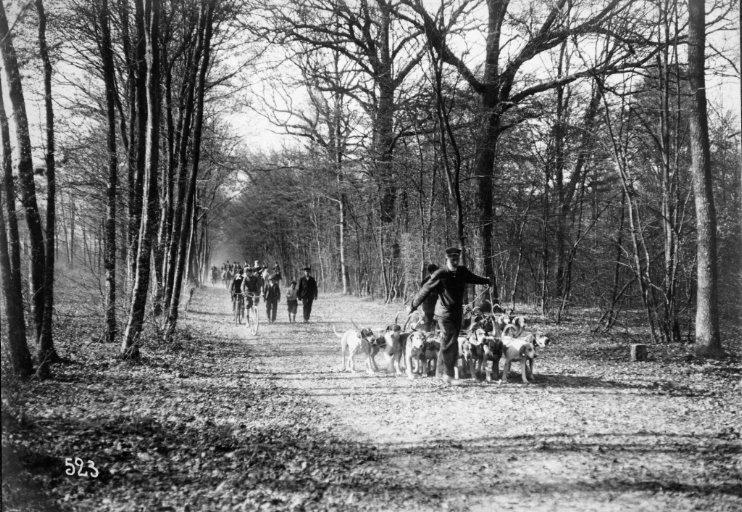 Photographie extraite d'un album de 56 photographies : équipages Chantilly et Par Monts et Vallons_0