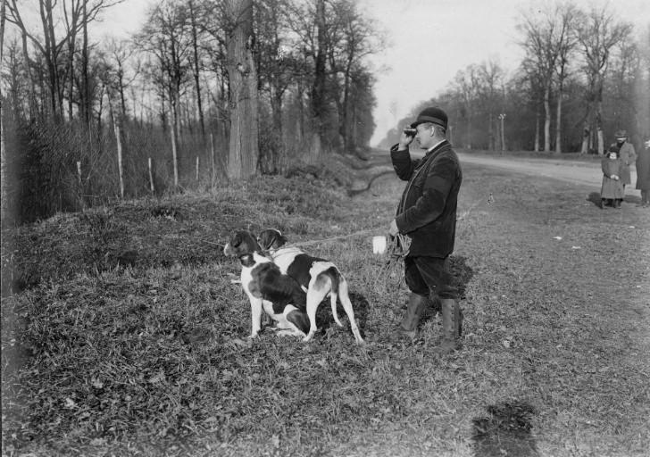 Photographie extraite d'un album de 56 photographies : équipages Chantilly et Par Monts et Vallons. Veneur et ses chiens, Eugène de Rozycki, 4e quart 19e siècle, 1er quart 20e siècle