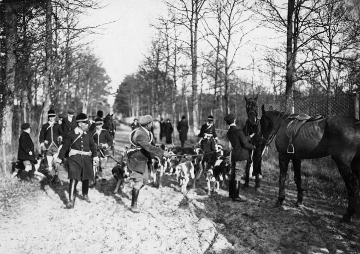 Photographie extraite d'un album de 56 photographies : équipages Chantilly et Par Monts et Vallons, Eugène de Rozycki, 4e quart 19e siècle, 1er quart 20e siècle
