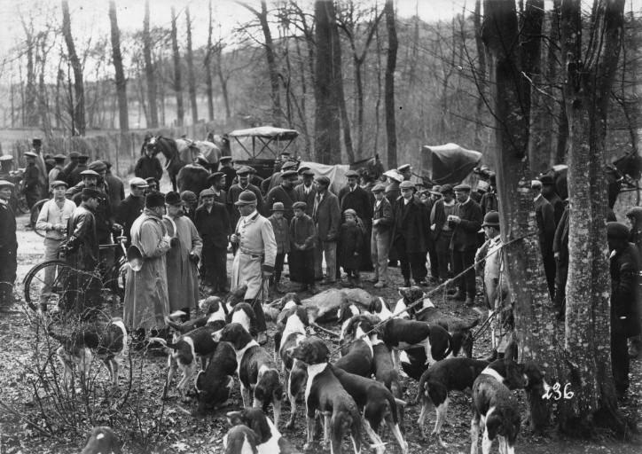 Photographie extraite d'un album de 56 photographies : équipages Chantilly et Par Monts et Vallons. La curée, Eugène de Rozycki, 4e quart 19e siècle, 1er quart 20e siècle