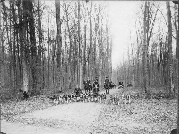 Photographie extraite d'un album de 56 photographies : équipages Chantilly et Par Monts et Vallons, Eugène de Rozycki, 4e quart 19e siècle, 1er quart 20e siècle