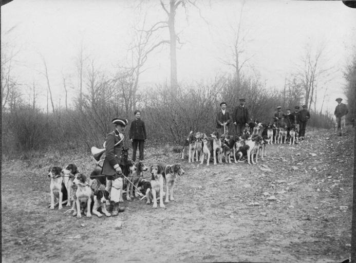 Photographie extraite d'un album de 56 photographies : équipages Chantilly et Par Monts et Vallons, Eugène de Rozycki, 4e quart 19e siècle, 1er quart 20e siècle