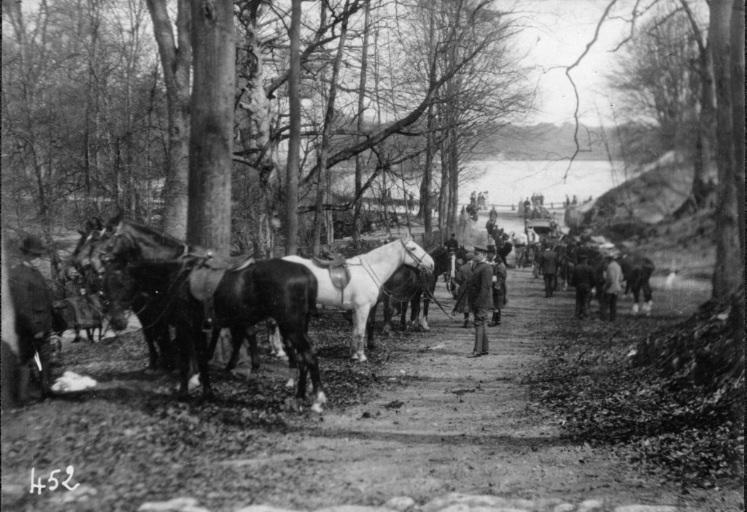 Photographie extraite d'un album de 56 photographies : équipages Chantilly et Par Monts et Vallons, Eugène de Rozycki, 4e quart 19e siècle, 1er quart 20e siècle