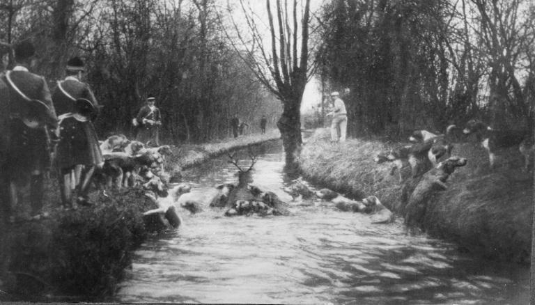 Photographie extraite d'un album de 56 photographies : équipages Chantilly et Par Monts et Vallons. Bat l'eau, Eugène de Rozycki, 4e quart 19e siècle, 1er quart 20e siècle