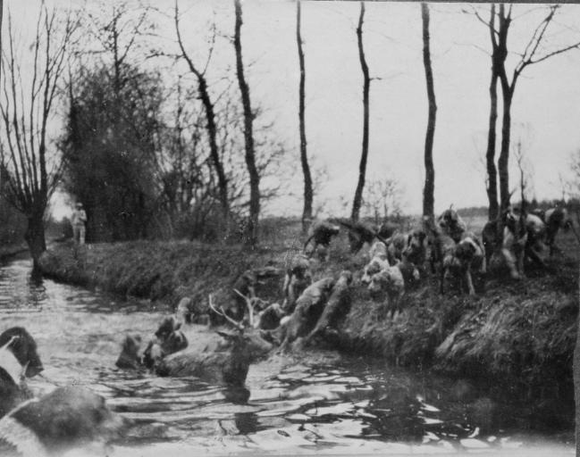 Photographie extraite d'un album de 56 photographies : équipages Chantilly et Par Monts et Vallons. Bat l'eau, Eugène de Rozycki, 4e quart 19e siècle, 1er quart 20e siècle