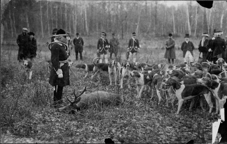 Photographie extraite d'un album de 56 photographies : équipages Chantilly et Par Monts et Vallons. La curée, Eugène de Rozycki, 4e quart 19e siècle, 1er quart 20e siècle