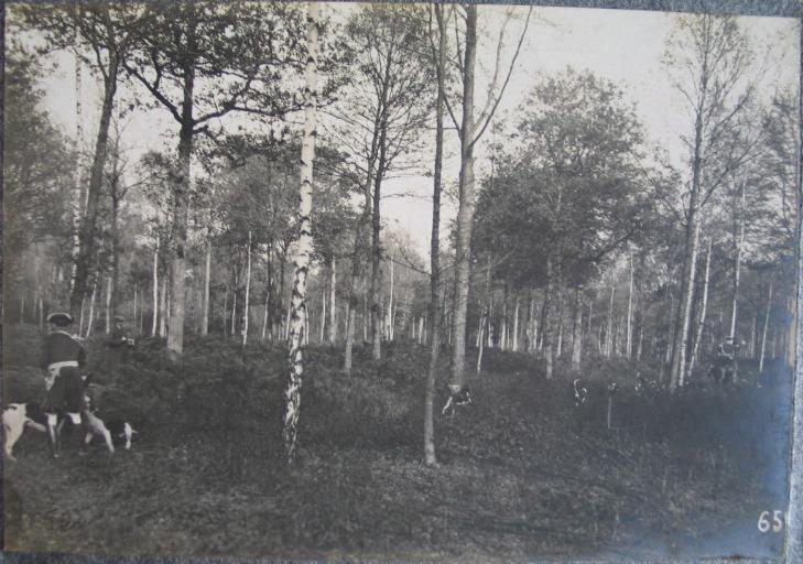 Equipage du duc de Chartres. Veneurs et chiens en forêt, Eugène de Rozycki, 1894-1910