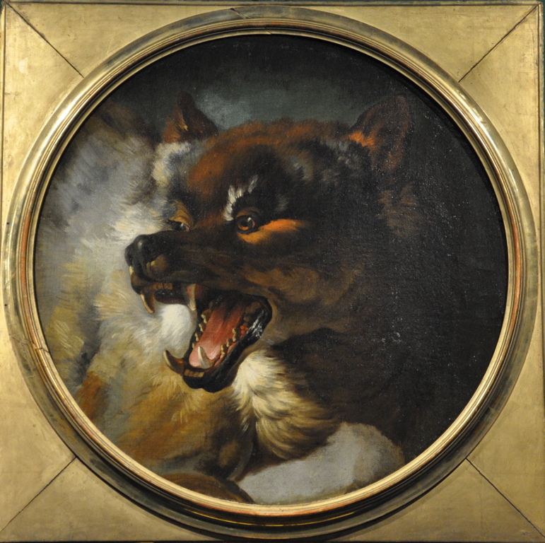 Tête de loup, Jean-Baptiste Oudry, 1751