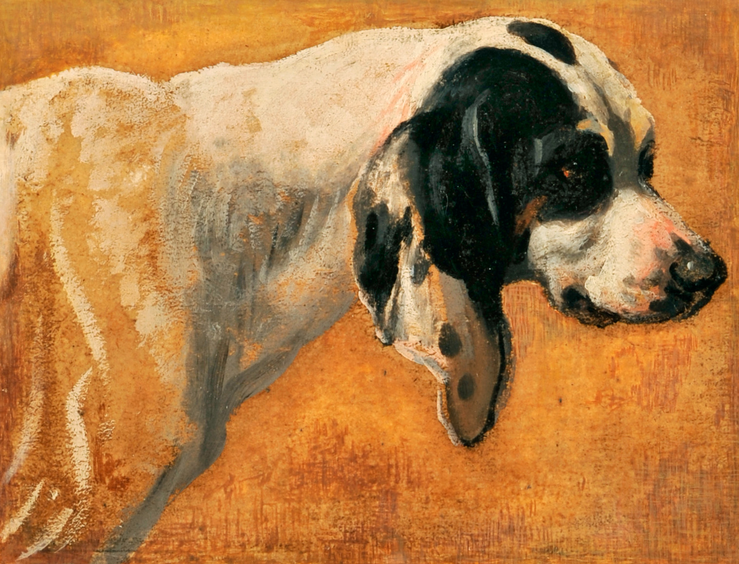 Chien de la meute du Grand Dauphin, François Desportes, 1702 vers