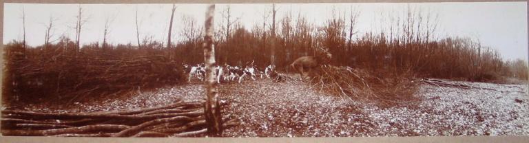 Photographie d'un album de 26 photographies. Equipage de Chantilly. Hallali_0