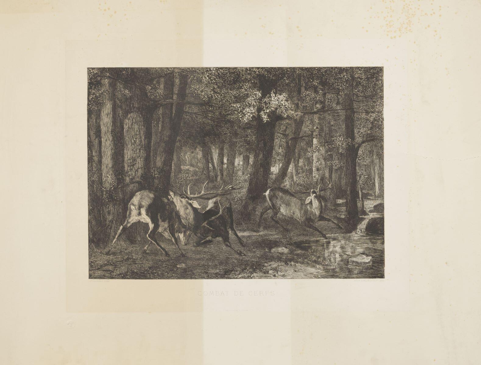 Combat de cerf, Auguste-André Lançon, 1882