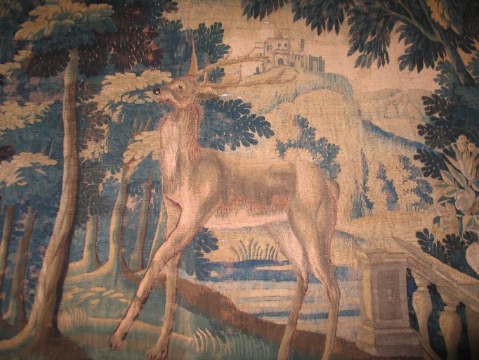 Cerf dans un jardin_0