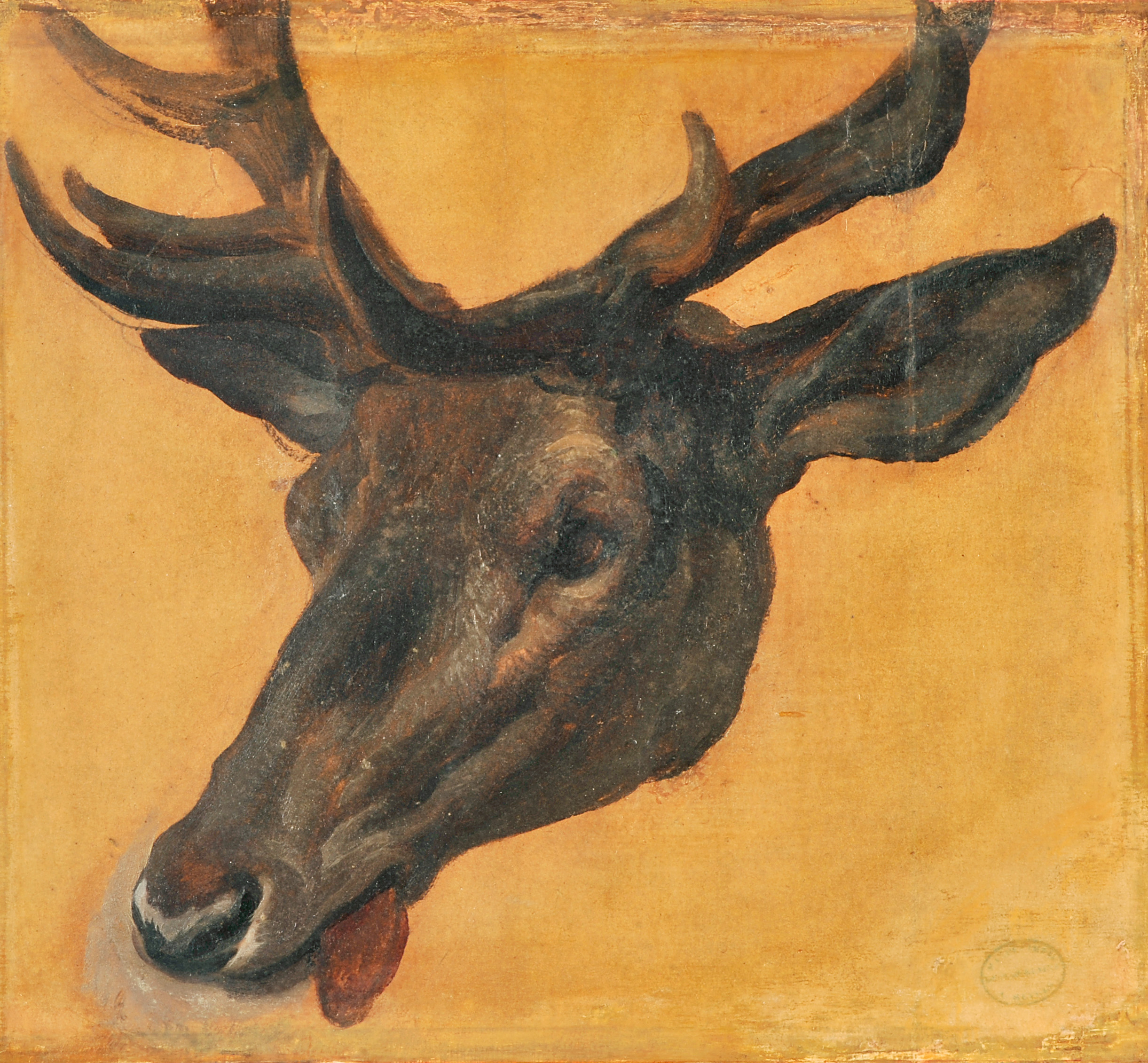 Etude de cerf, François Desportes, 1ère moitié 18e siècle