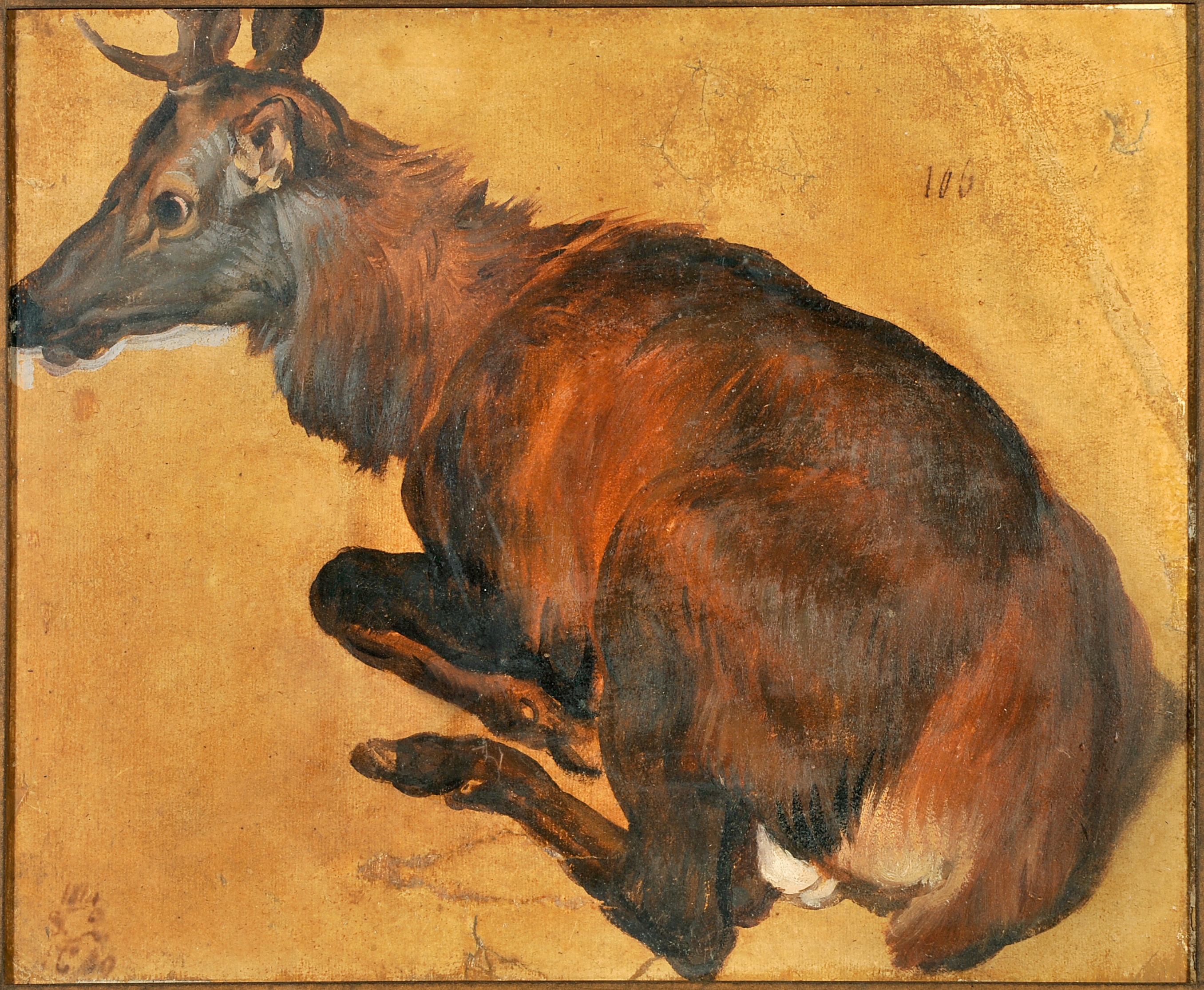 Cerf couché, François Desportes, 1ère moitié 18e siècle