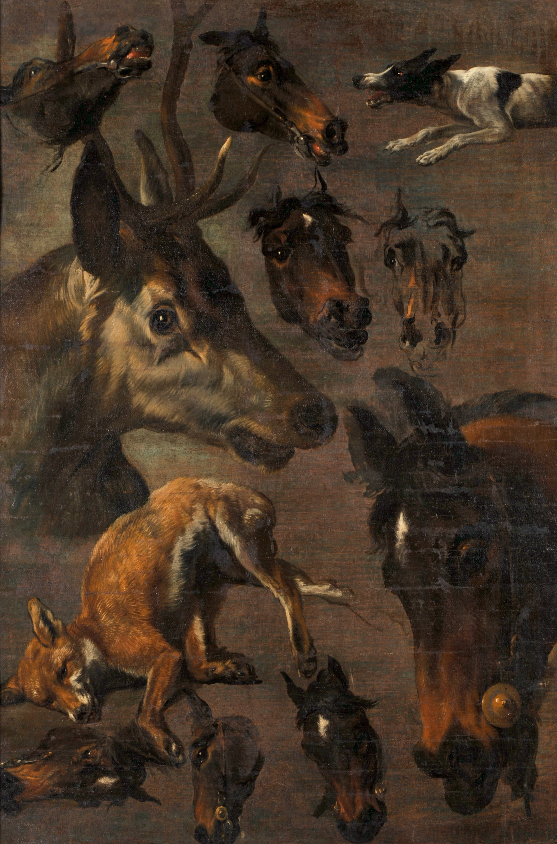 Têtes de chevaux, cerf, renard et chien, François Desportes, 1ère moitié 18e siècle