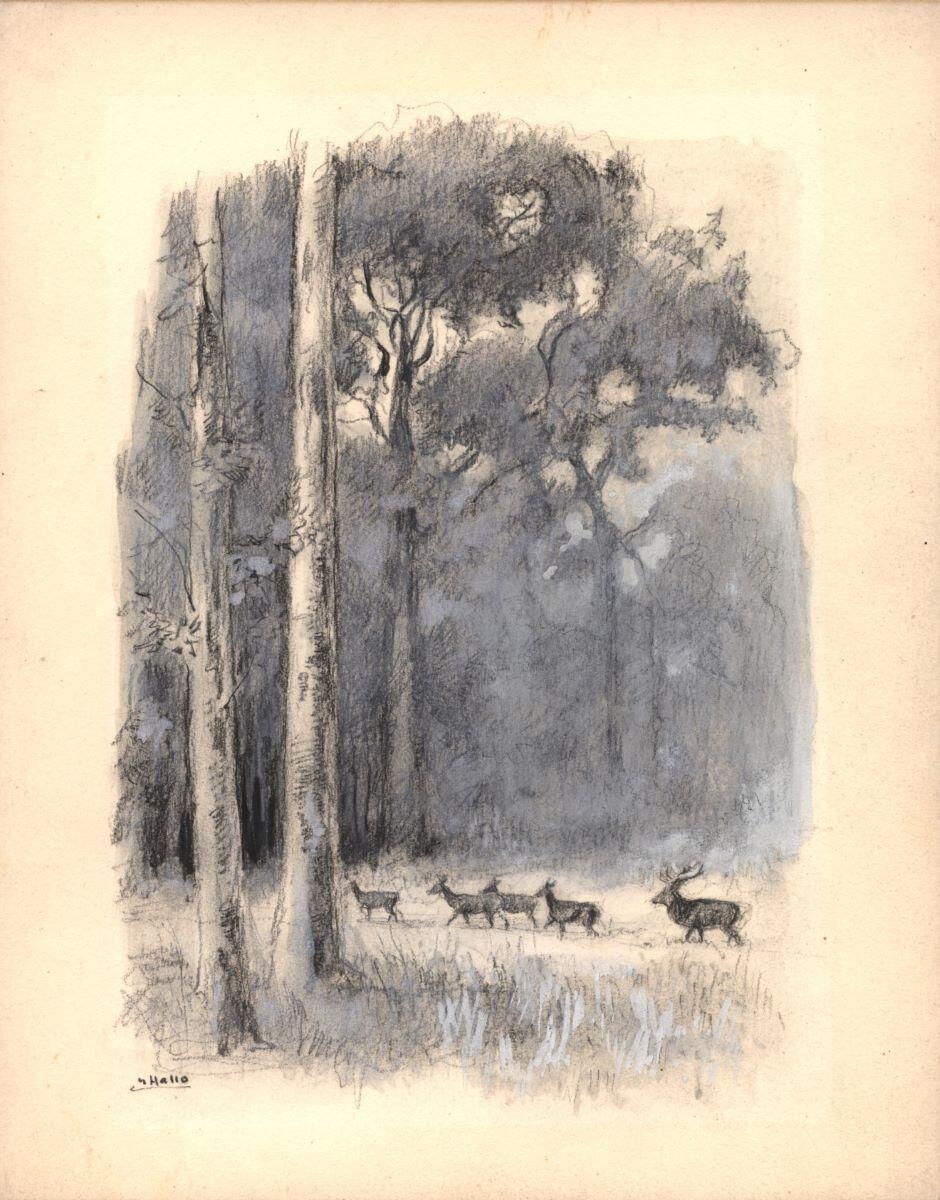 Cerfs et biches en forêt, Charles-Jean Hallo