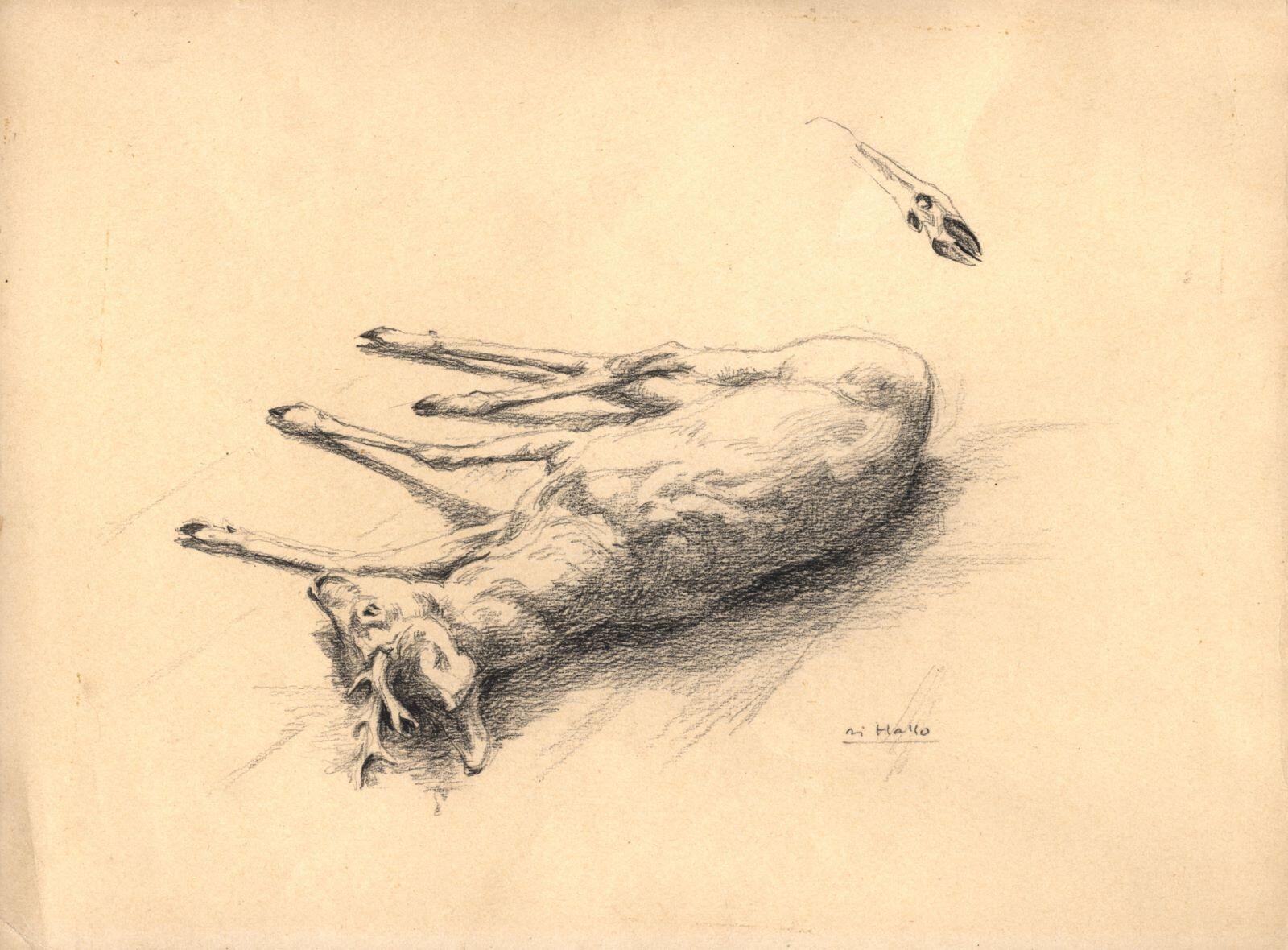 Chevreuil mort, Charles-Jean Hallo