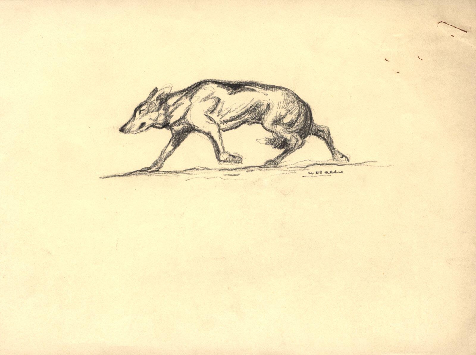 Loup, Charles-Jean Hallo