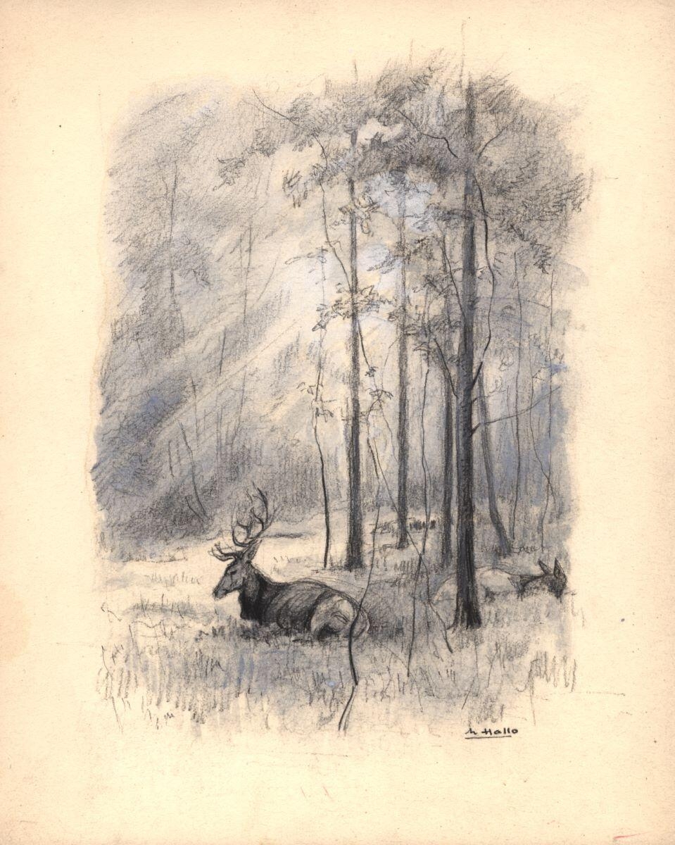 Cerf en forêt (recto) / études de cerf (verso), Charles-Jean Hallo