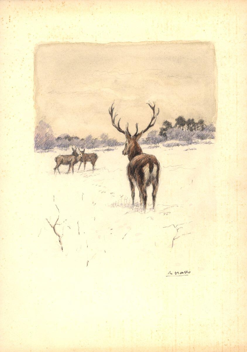 Cerfs et biches dans la neige, Charles-Jean Hallo
