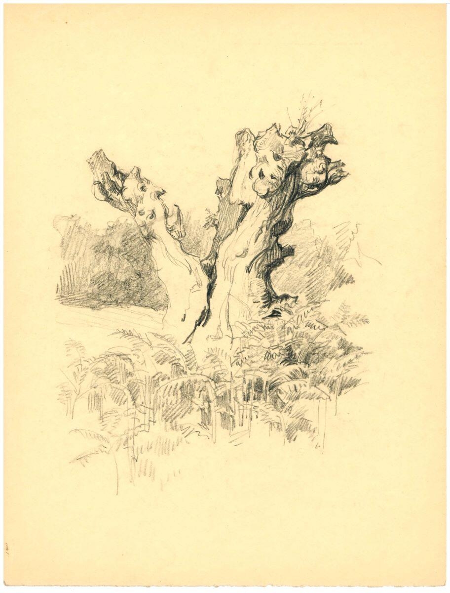 Tronc d'arbre, Charles-Jean Hallo