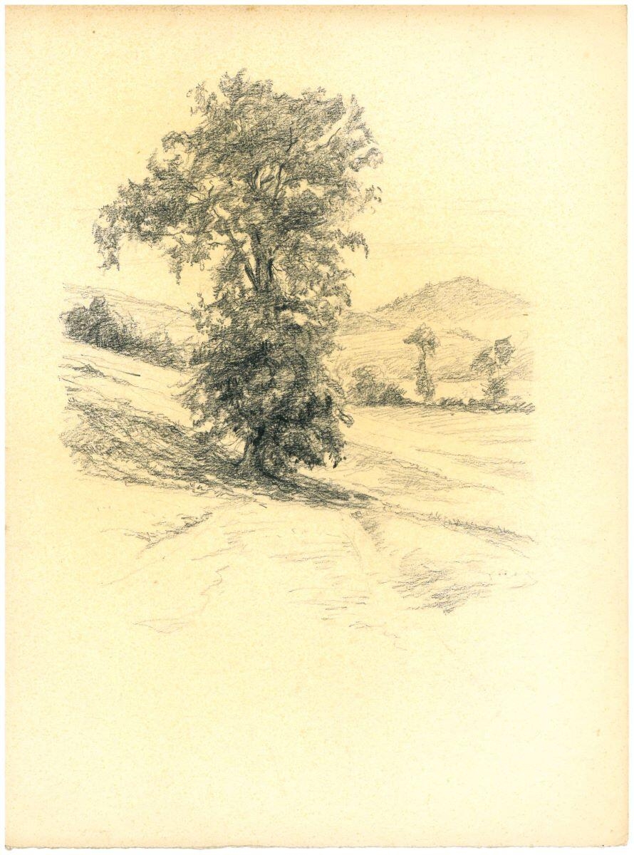 Arbre, Charles-Jean Hallo