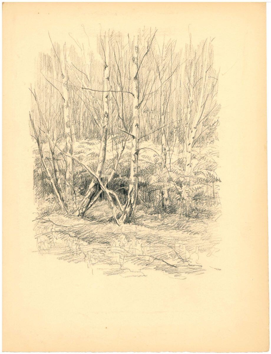 Arbres (Sologne), Charles-Jean Hallo