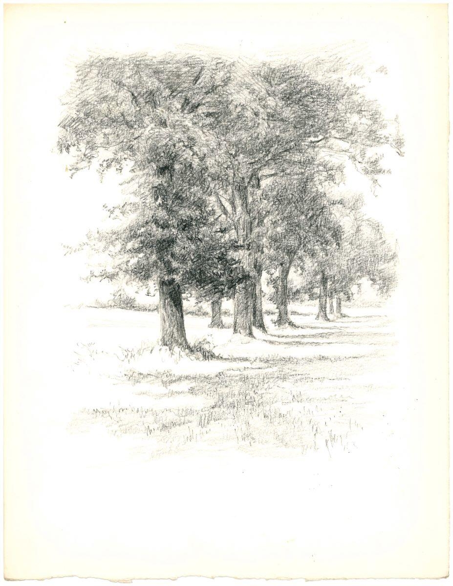 Chênes (Sologne), Charles-Jean Hallo