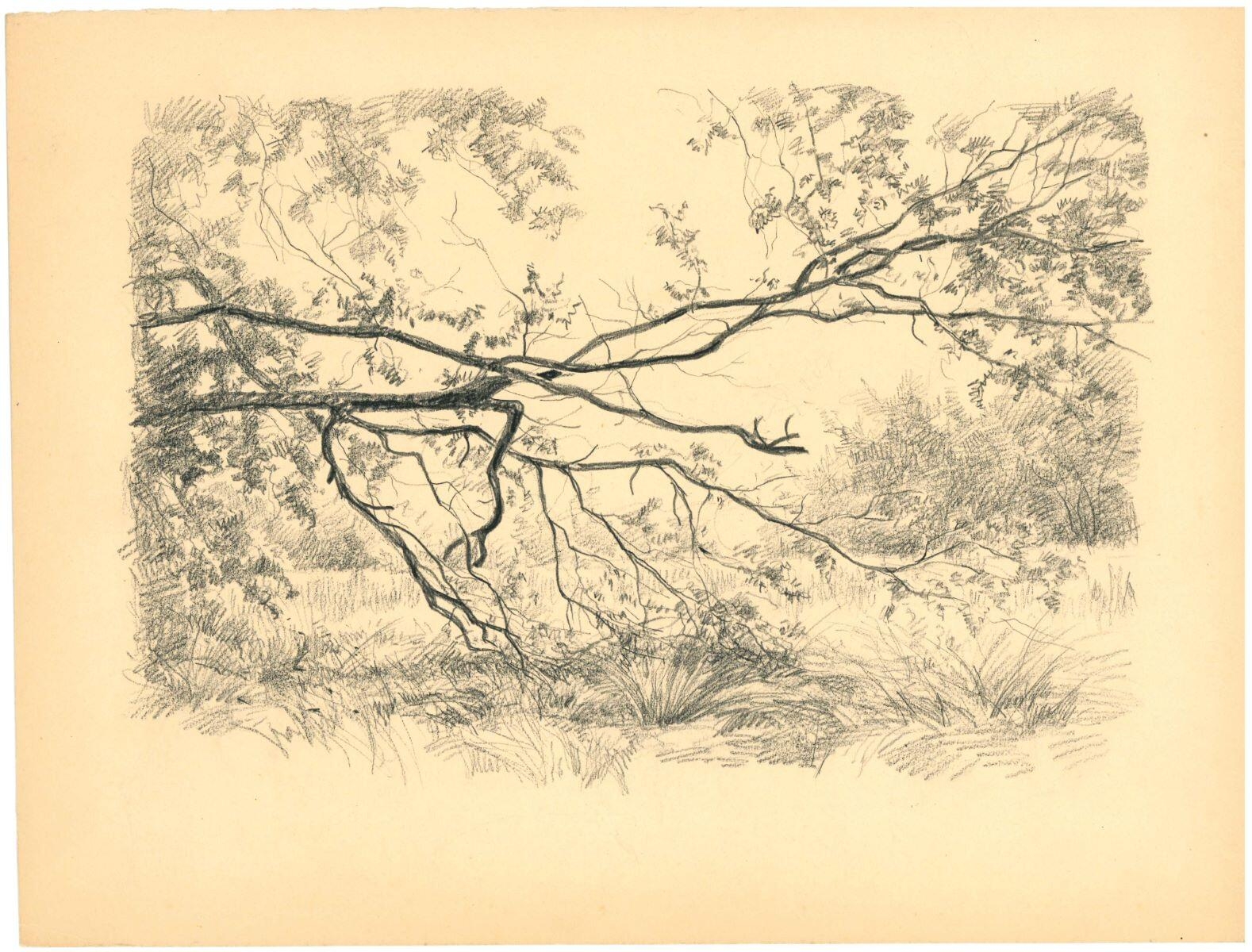 Branches (Sologne), Charles-Jean Hallo