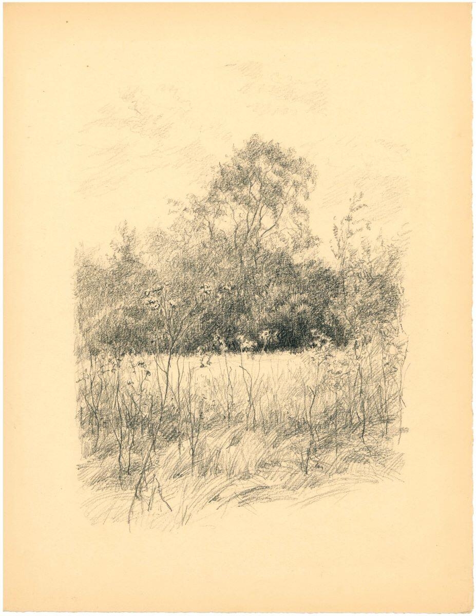 Paysage champêtre (Sologne)_0