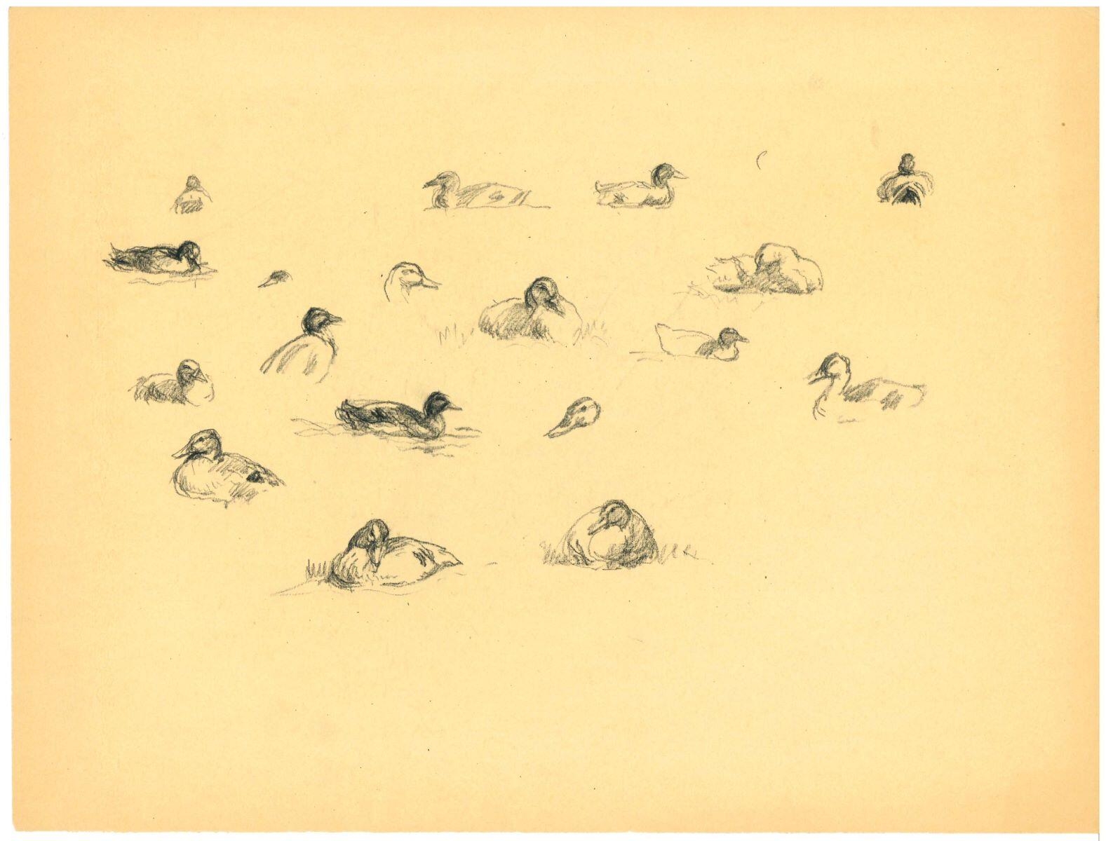Étude de canard, Charles-Jean Hallo