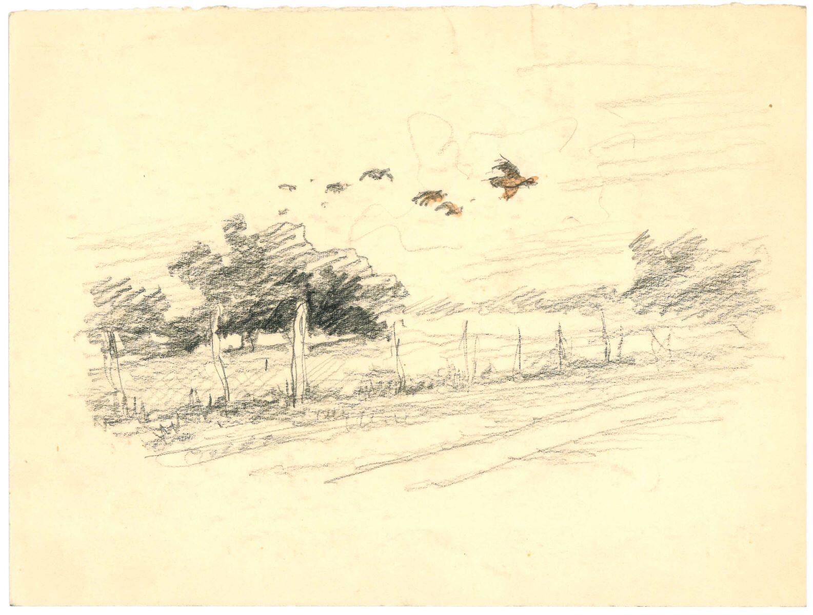 Oiseaux s'envolant (recto) / étude de perdrix (verso)_0