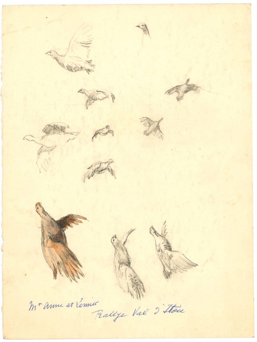 Oiseaux s'envolant (recto) / étude de perdrix (verso)_1