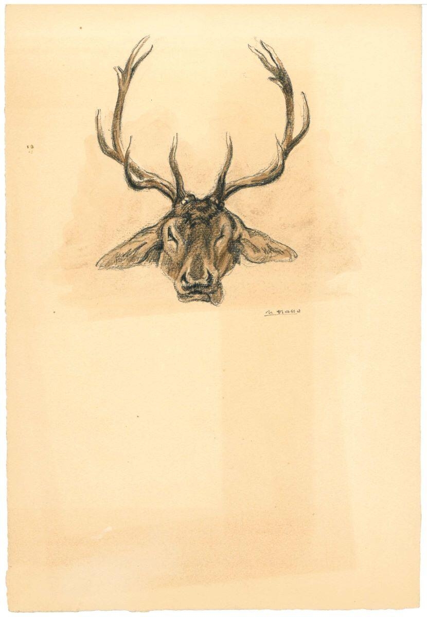 Trophée de cerf, Charles-Jean Hallo