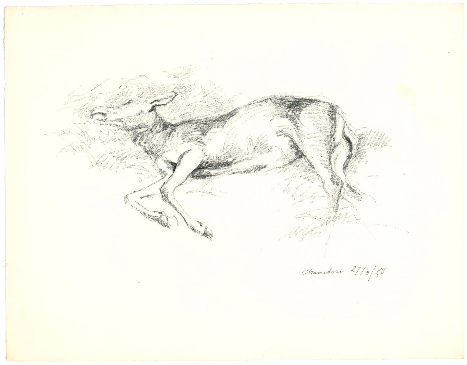 Étude de biche morte (Chambord), Charles-Jean Hallo, 1958