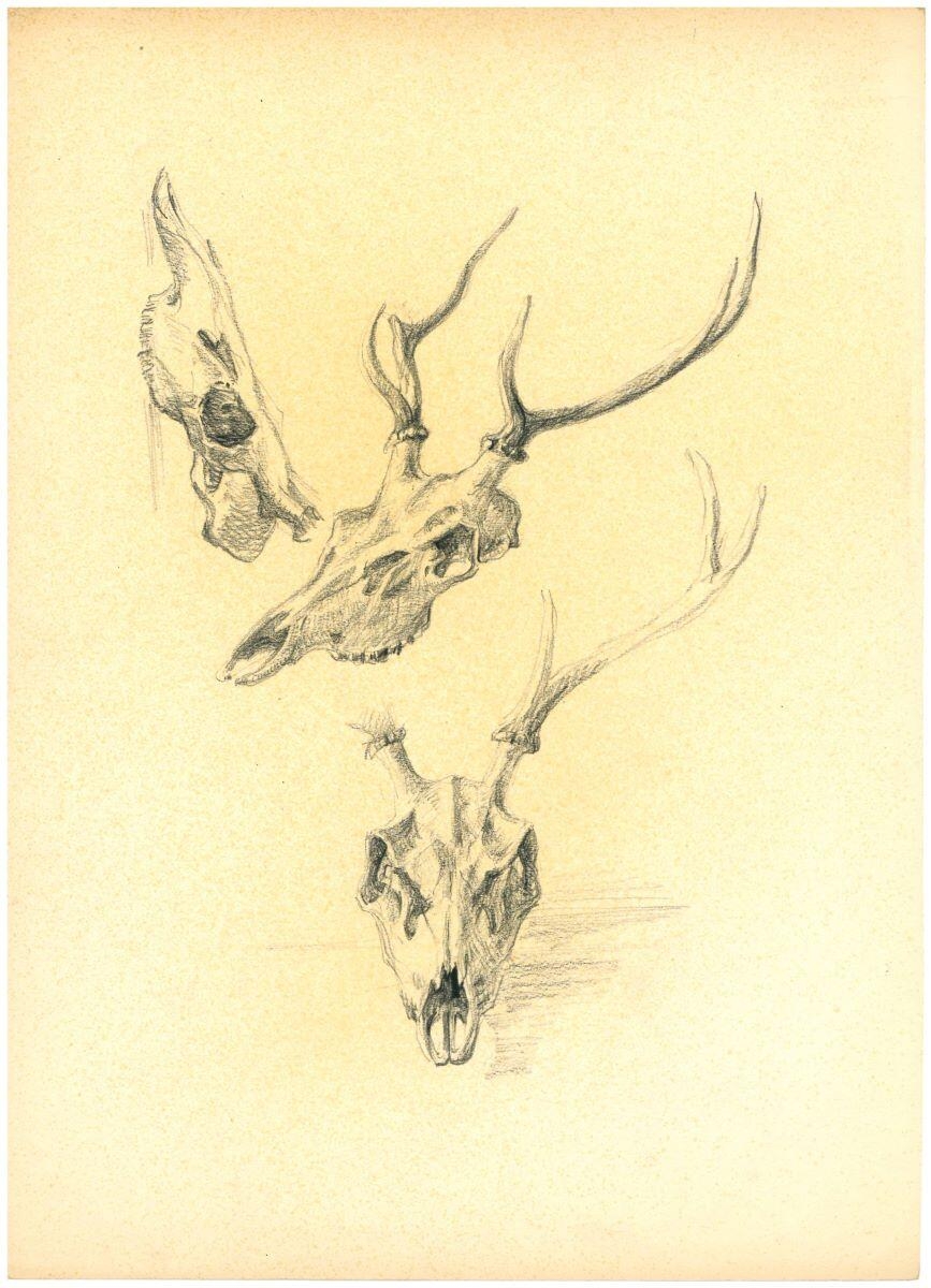 Étude de massacre de cerf_0